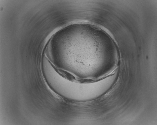 X0000073731245200608171221