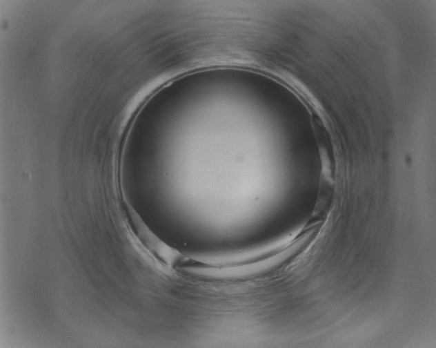 X0000073731246200608171221