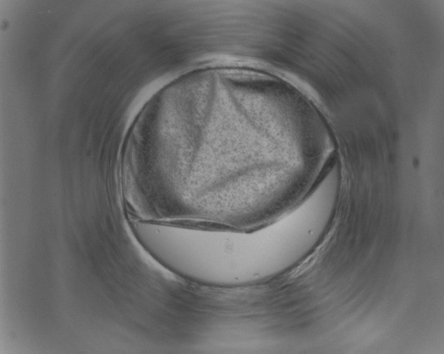 X0000073731247200608171221