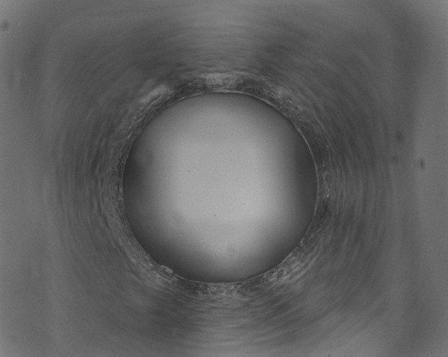 X0000073731249200608171220