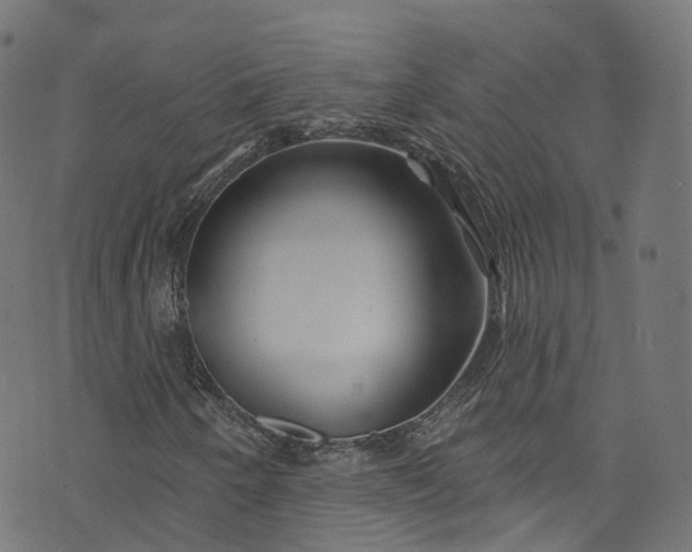 X0000073731250200608171220