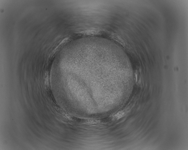 X0000073731251200608171220