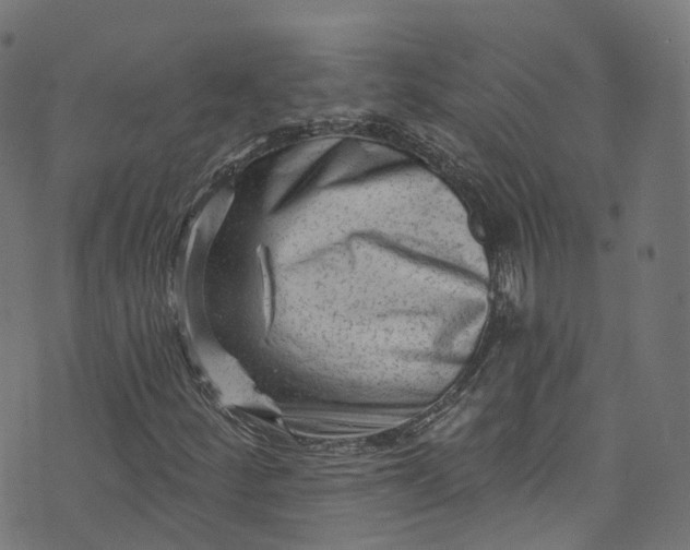 X0000073731252200608171220