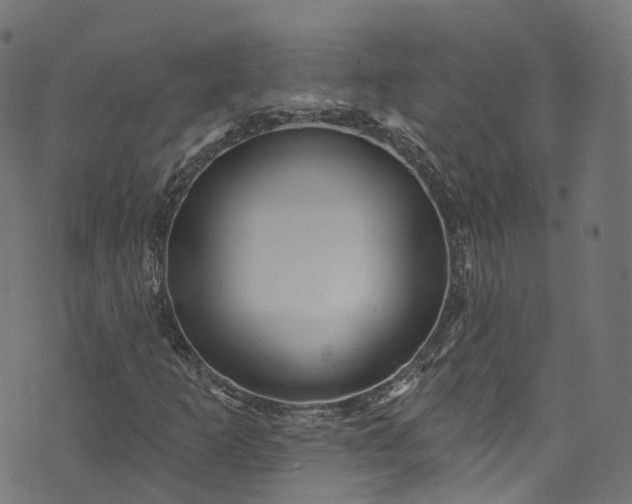 X0000073731253200608171220