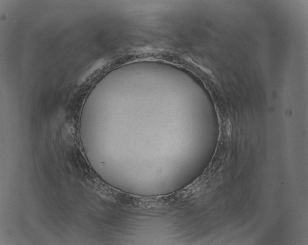 X0000073731254200608171220