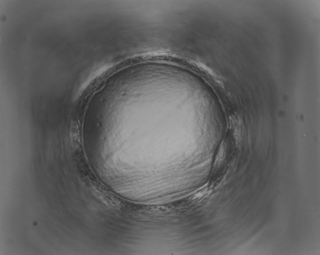 X0000073731255200608171220