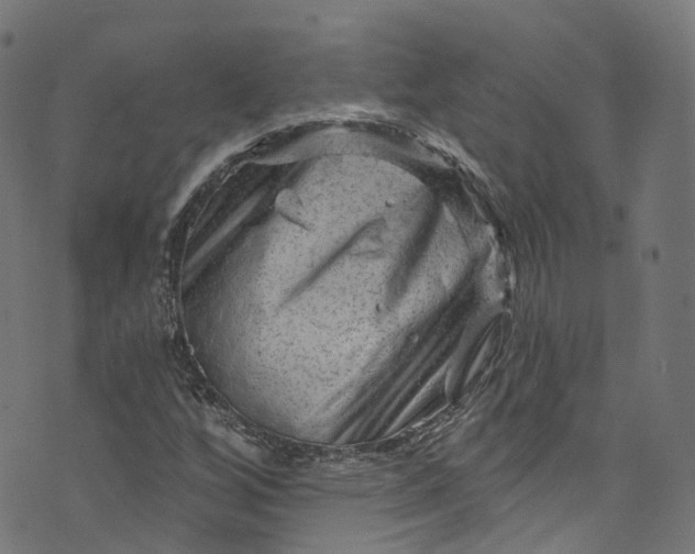 X0000073731256200608171220