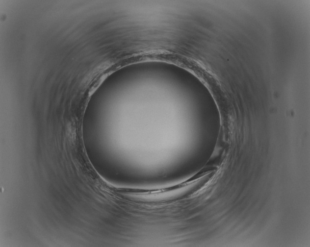 X0000073731257200608171220