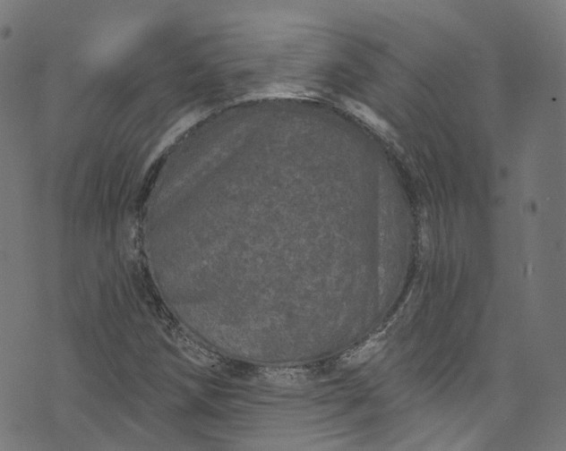 X0000073731258200608171220