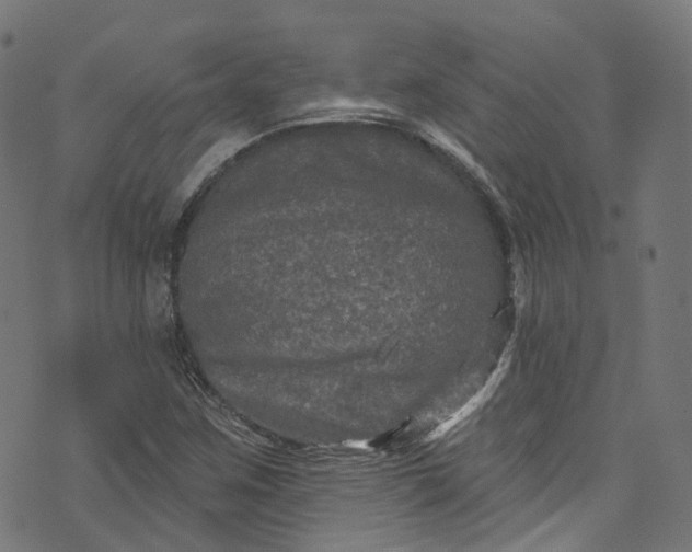 X0000073731259200608171220