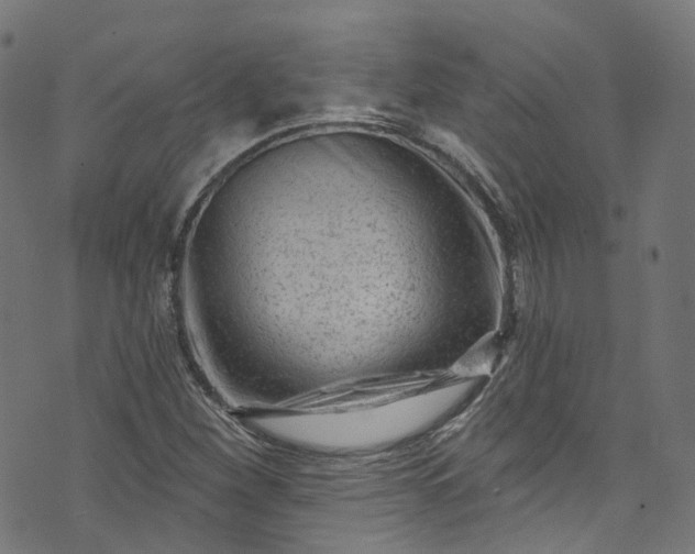 X0000073731260200608171220