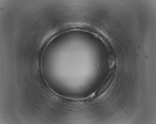 X0000073731261200608171220