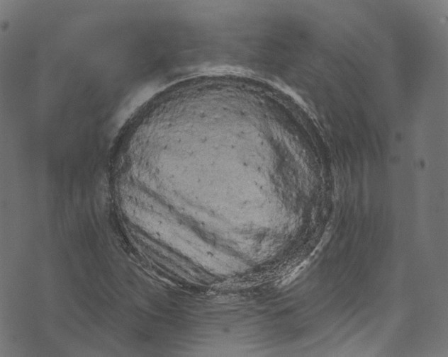 X0000073731263200608171220