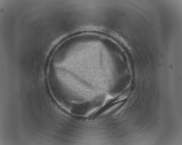 X0000073731264200608171220