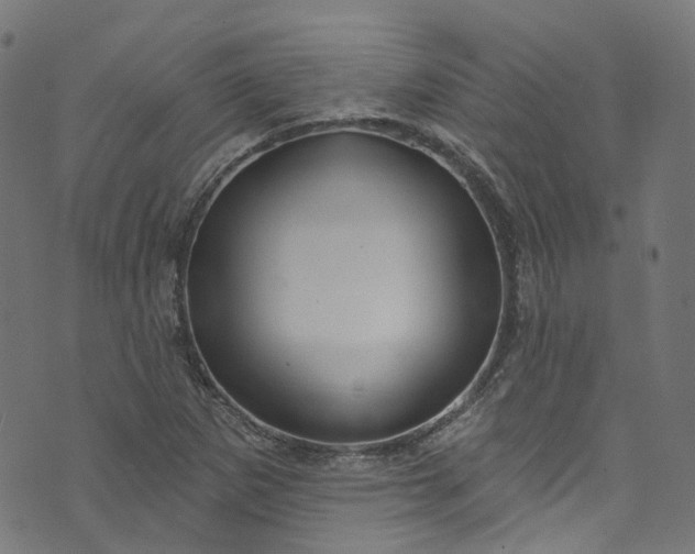 X0000073731265200608171220