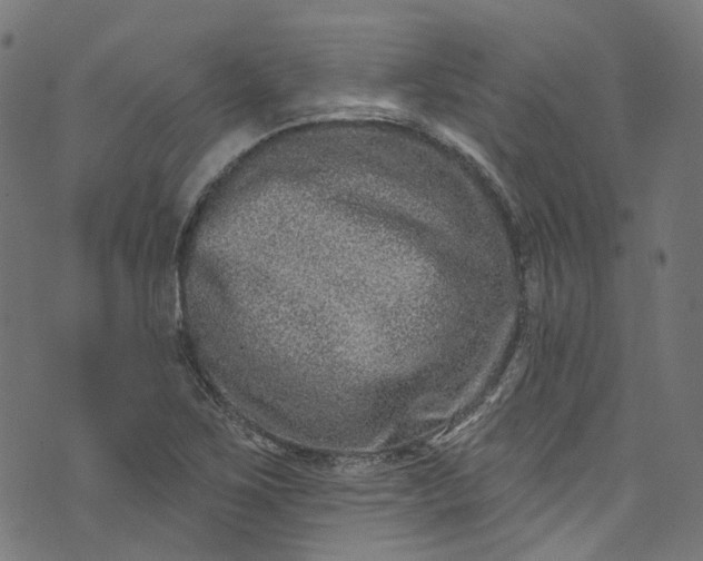 X0000073731267200608171220