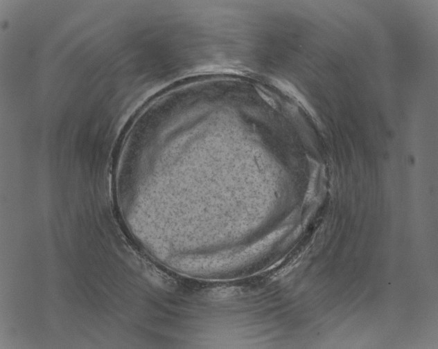 X0000073731268200608171220