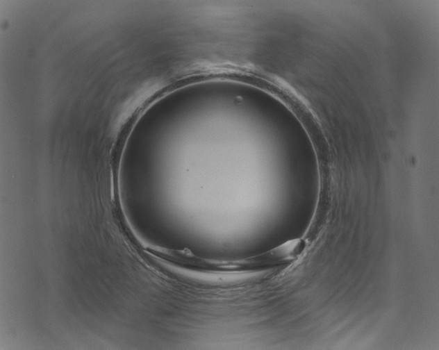 X0000073731269200608171220