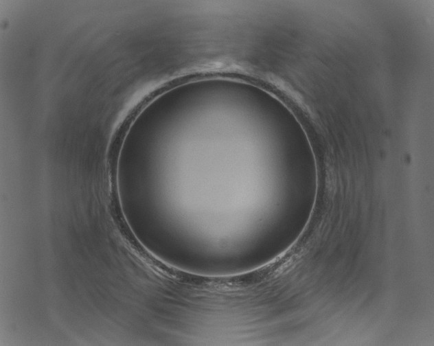 X0000073731270200608171220