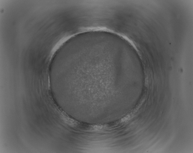 X0000073731271200608171220