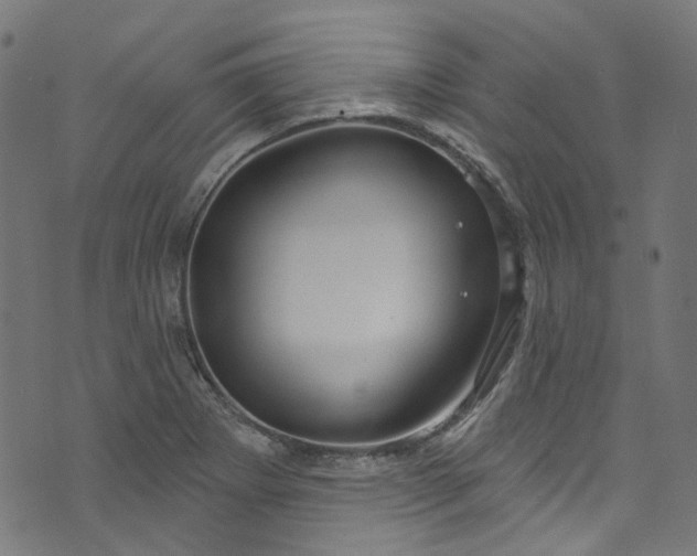 X0000073731273200608171219