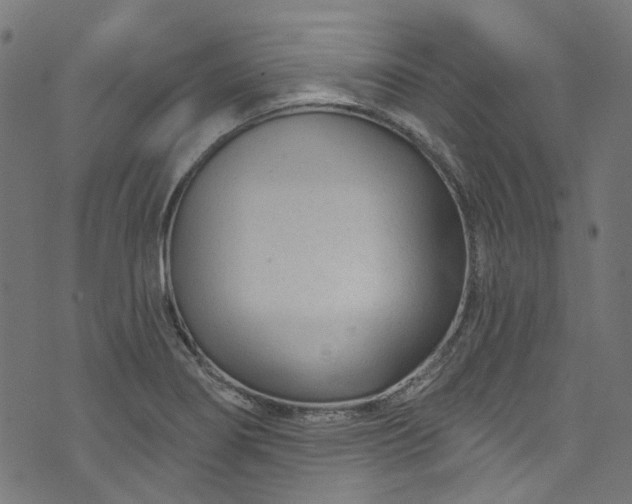 X0000073731274200608171219