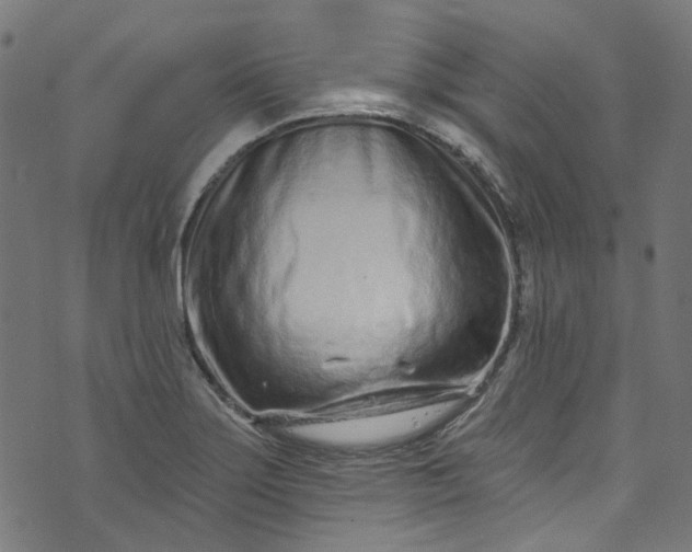 X0000073731275200608171219