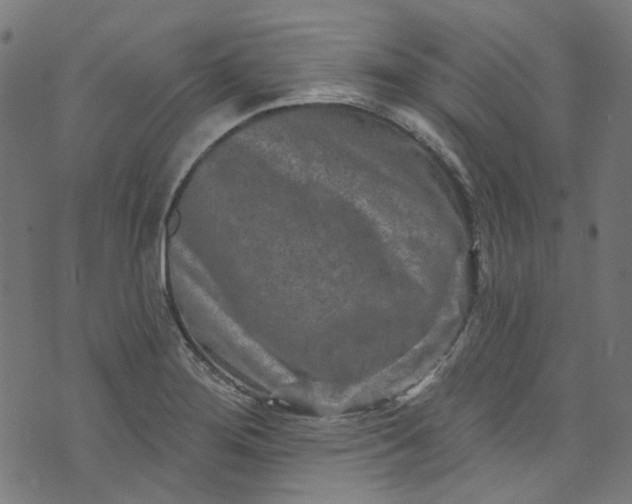 X0000073731276200608171219