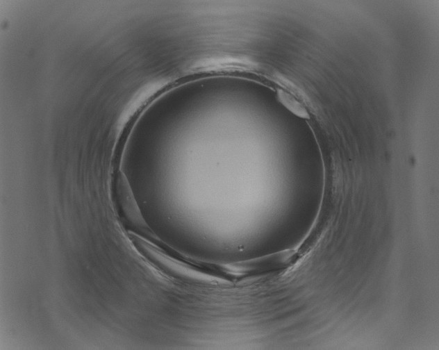 X0000073731277200608171219