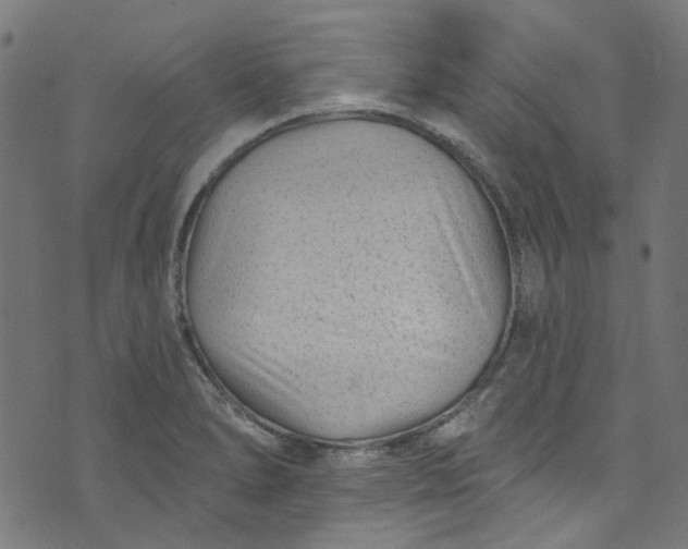 X0000073731278200608171219