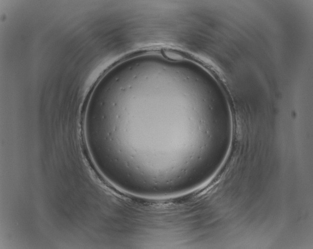 X0000073731279200608171219