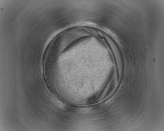 X0000073731280200608171219