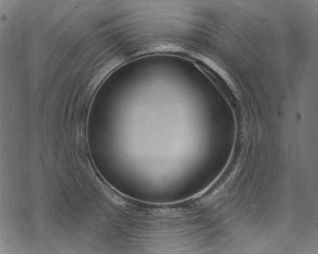 X0000073731281200608171219