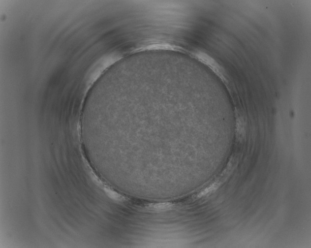 X0000073731282200608171219