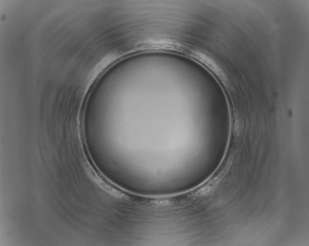 X0000073731283200608171219