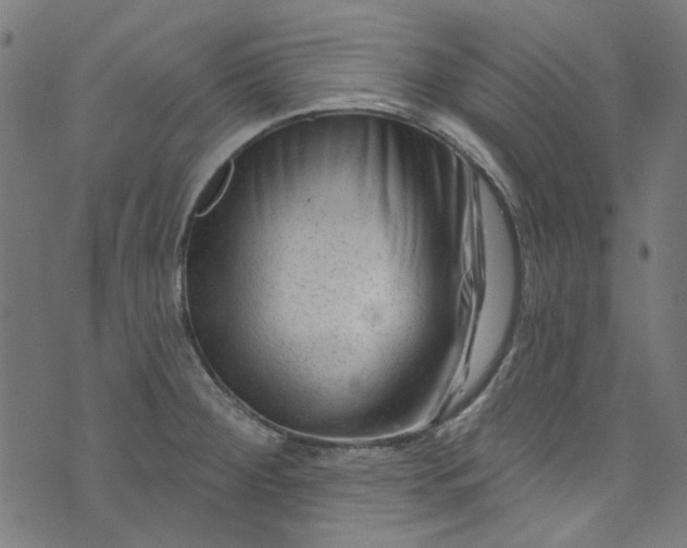 X0000073731284200608171219