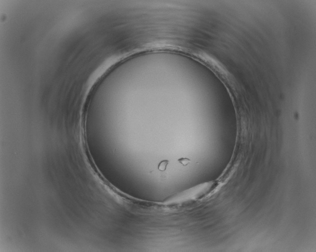 X0000073731286200608171219