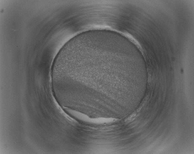 X0000073731287200608171219