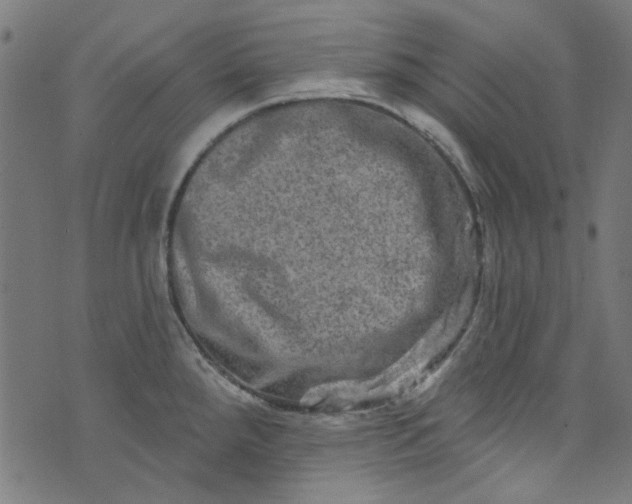 X0000073731288200608171219