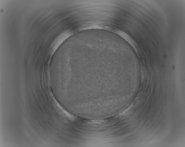 X0000073731290200608171219