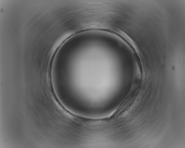 X0000073731293200608171219