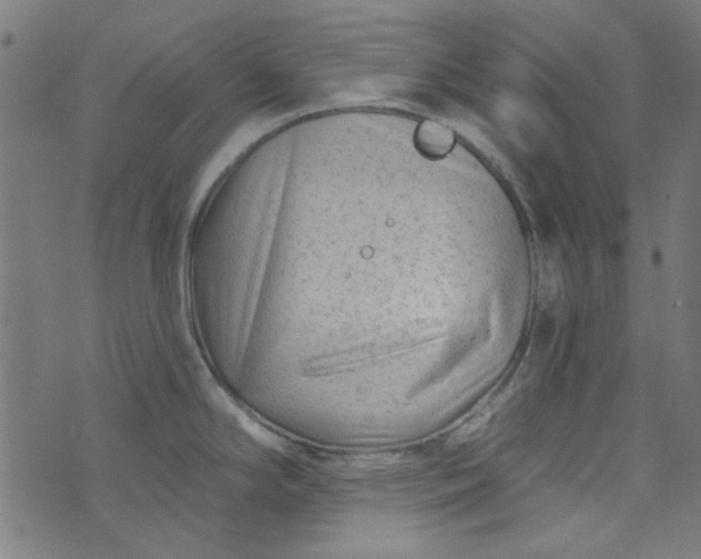 X0000073731294200608171219