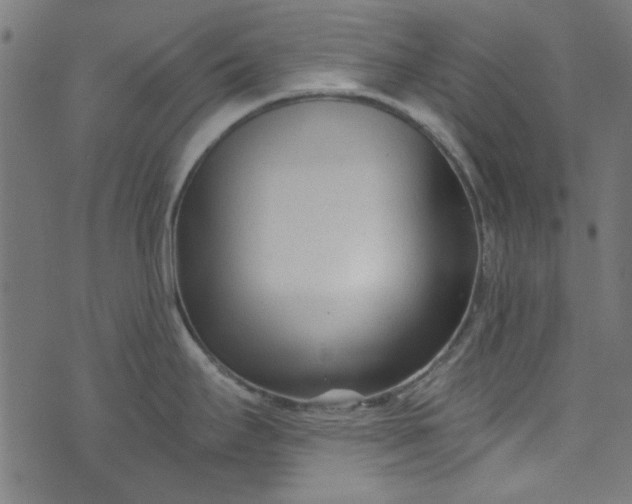 X0000073731295200608171219