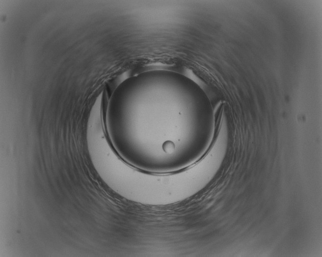 X0000073731298200608171218