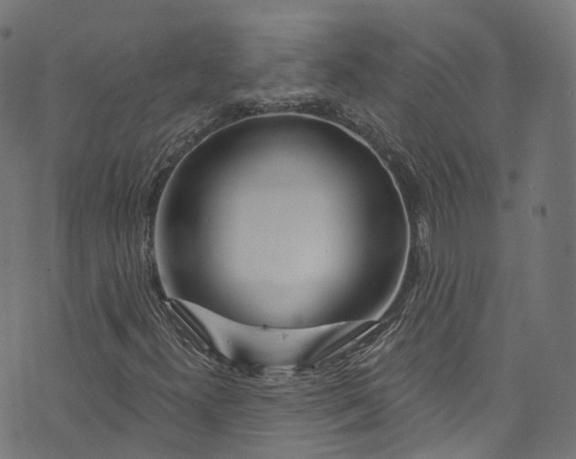 X0000073731300200608171218