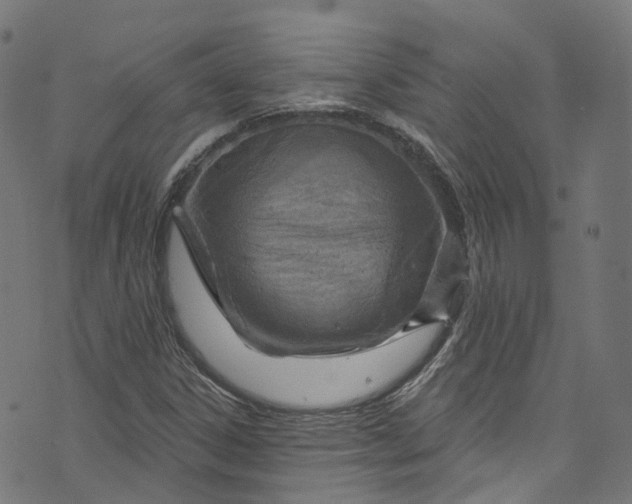 X0000073731306200608171218