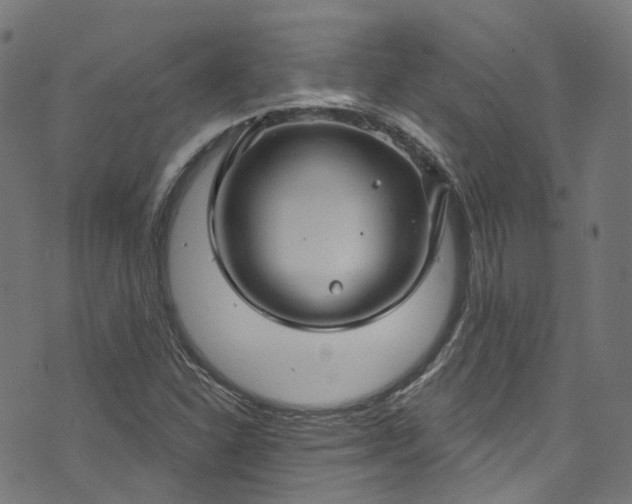 X0000073731310200608171219