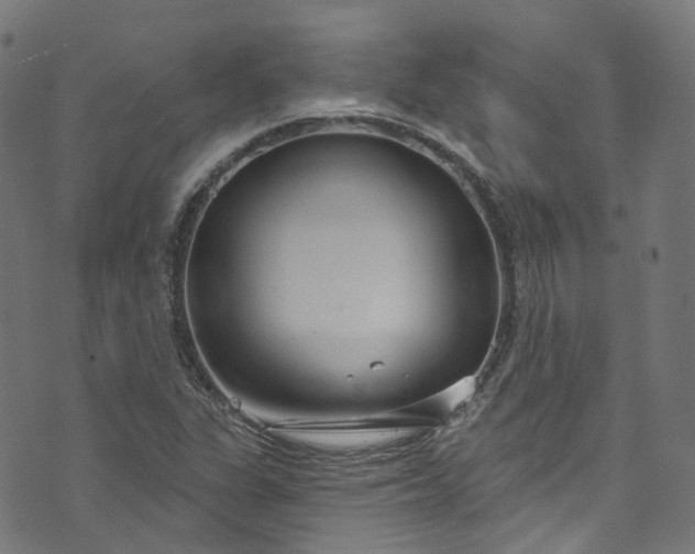 X0000073731311200608171219