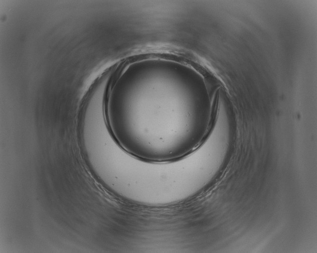 X0000073731312200608171219