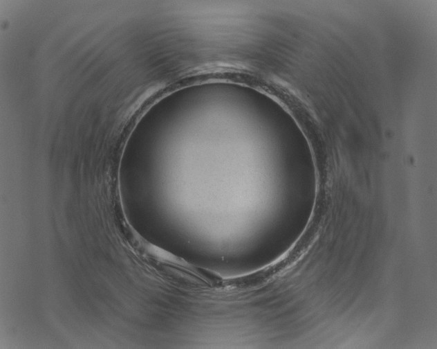 X0000073731313200608171219